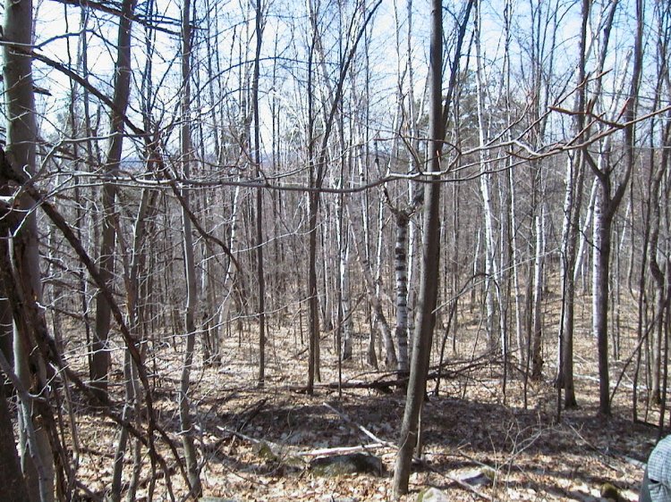 14apr01_the_shrine__the_path