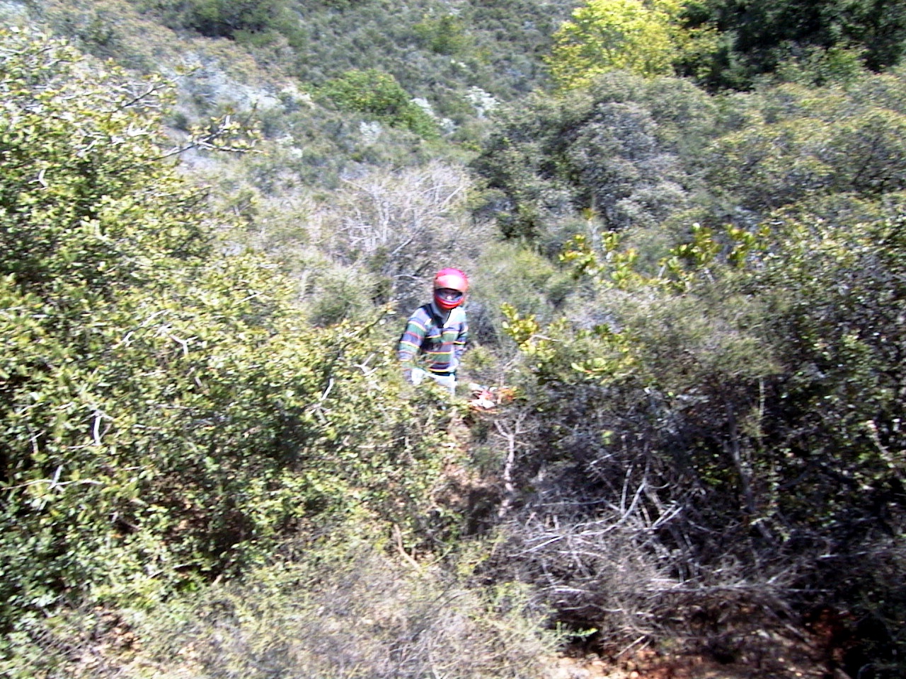 I rode off the cliff that Mike is standing on; landed down there