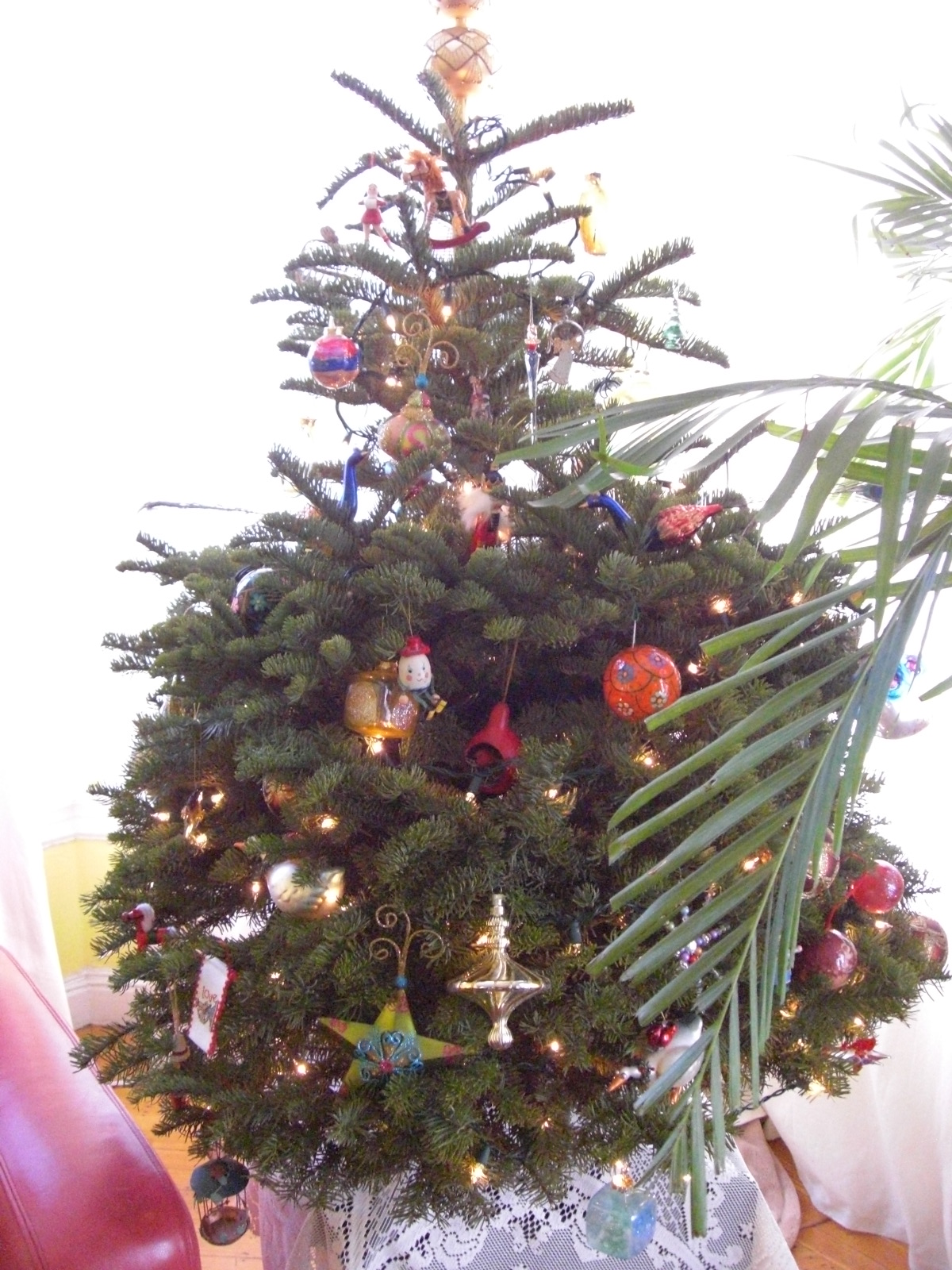 Stumpy, our Christmas tree