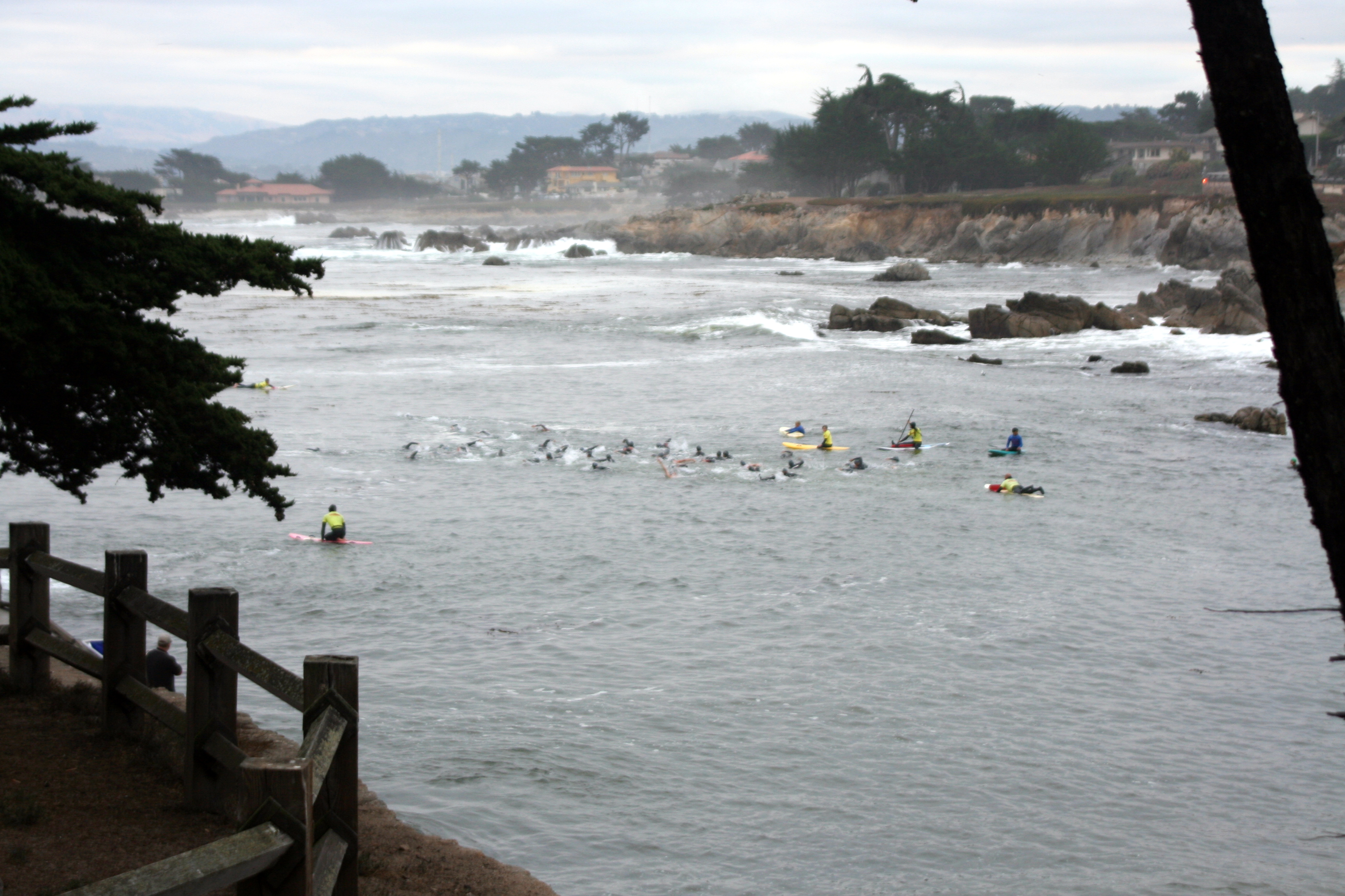 Swimmers heading out to the first bouy