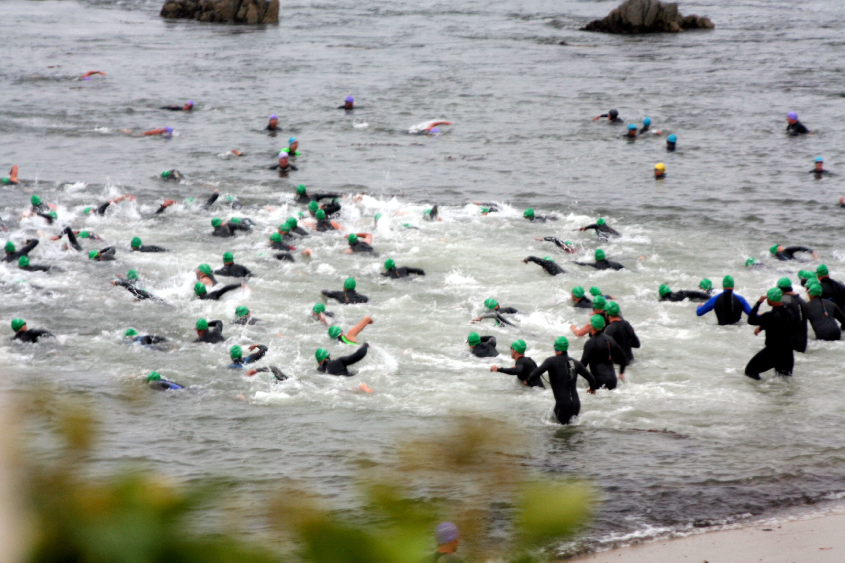 My starting group heads into the 52-degree water