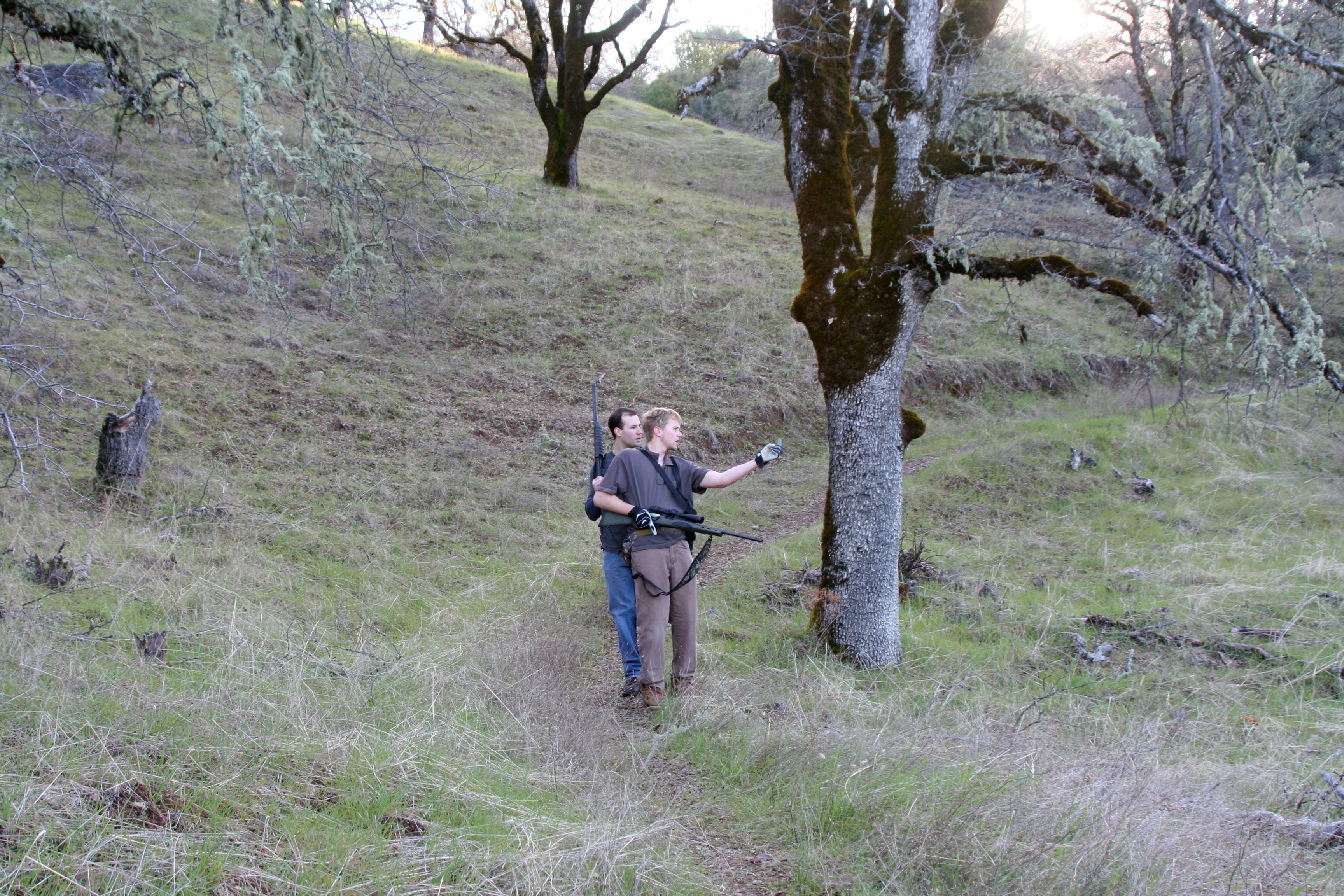 Spotted movement on another hill