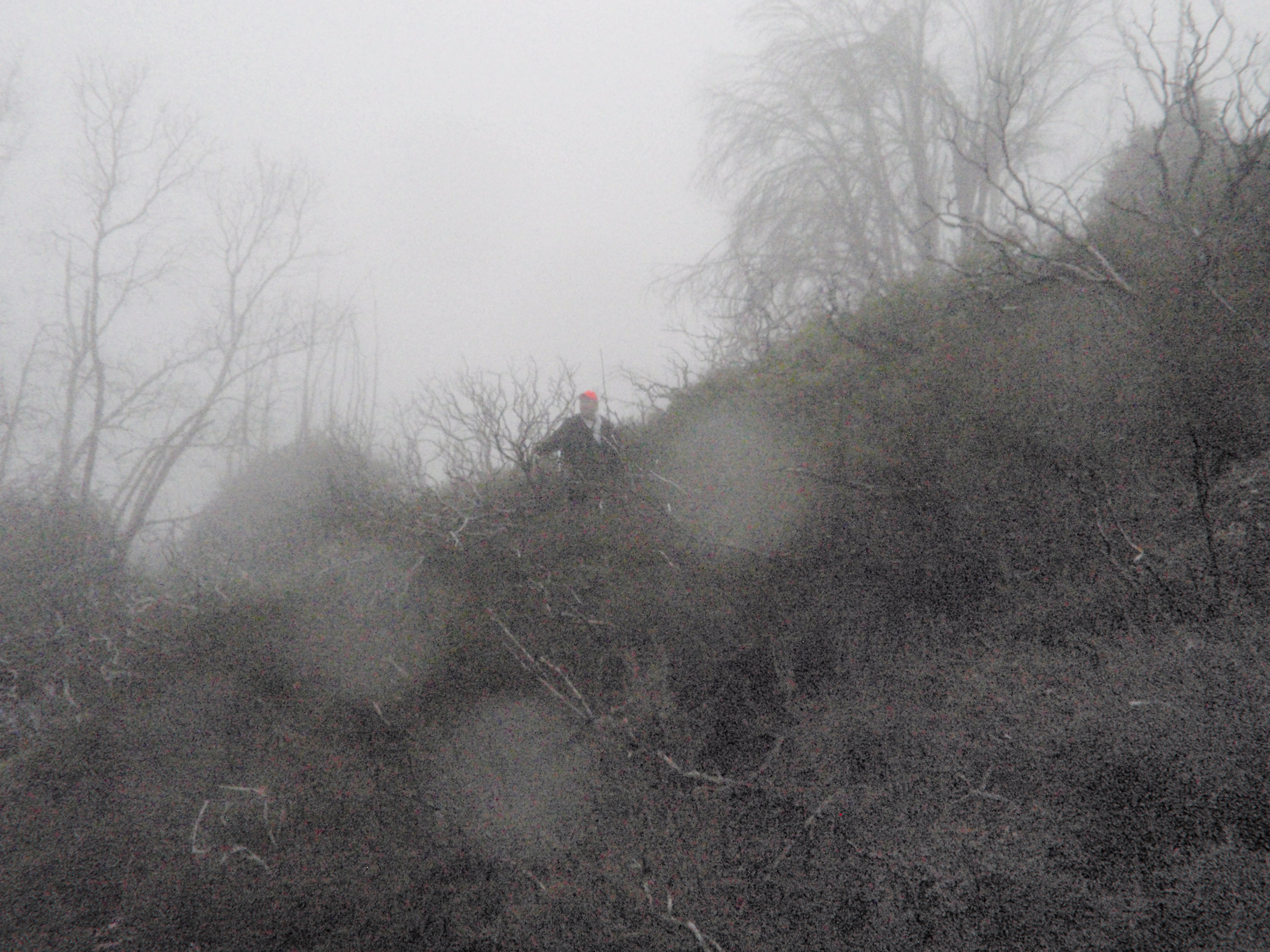 Jason in the horrible wetlands