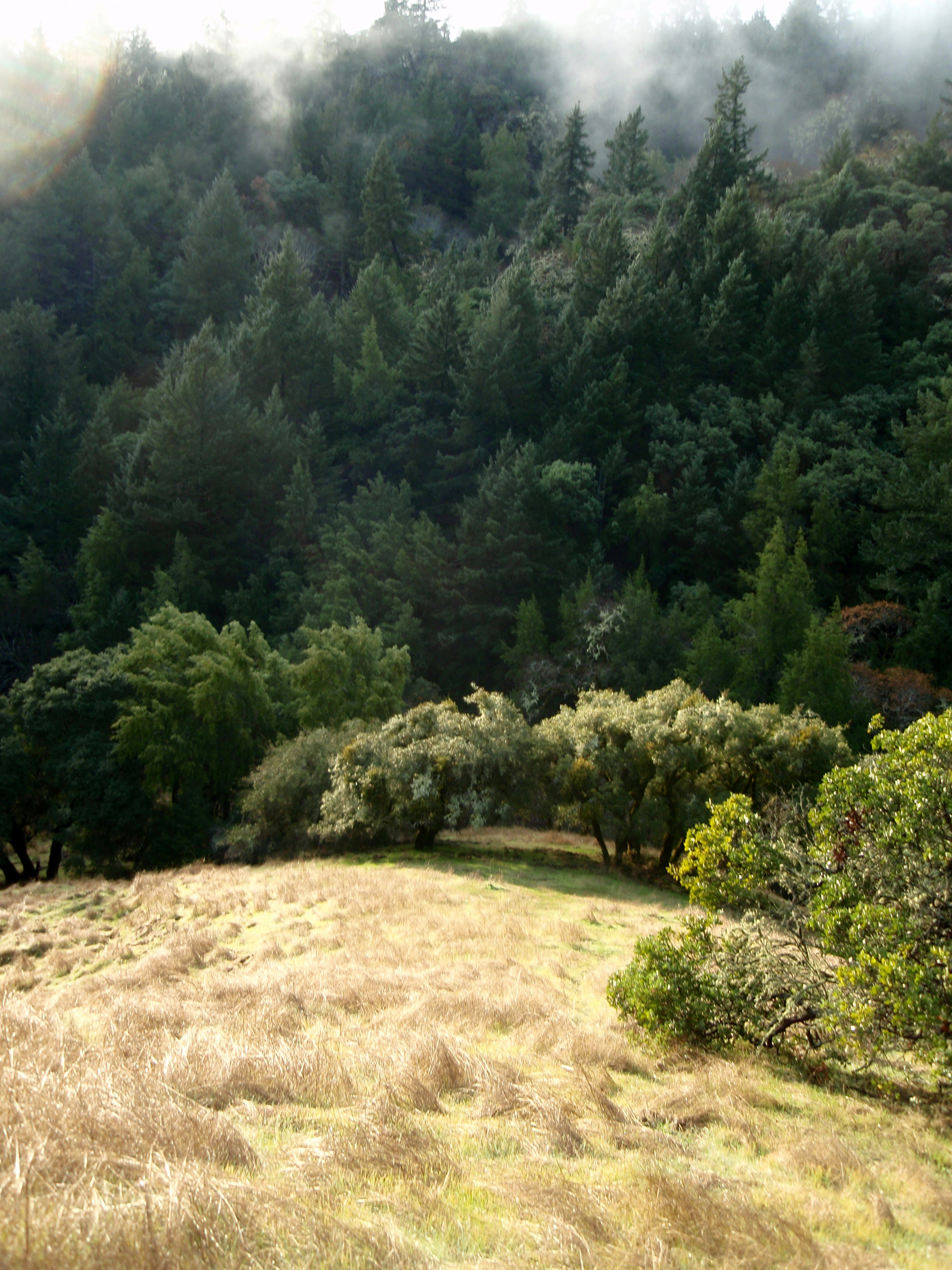 Brief splash of sunlight