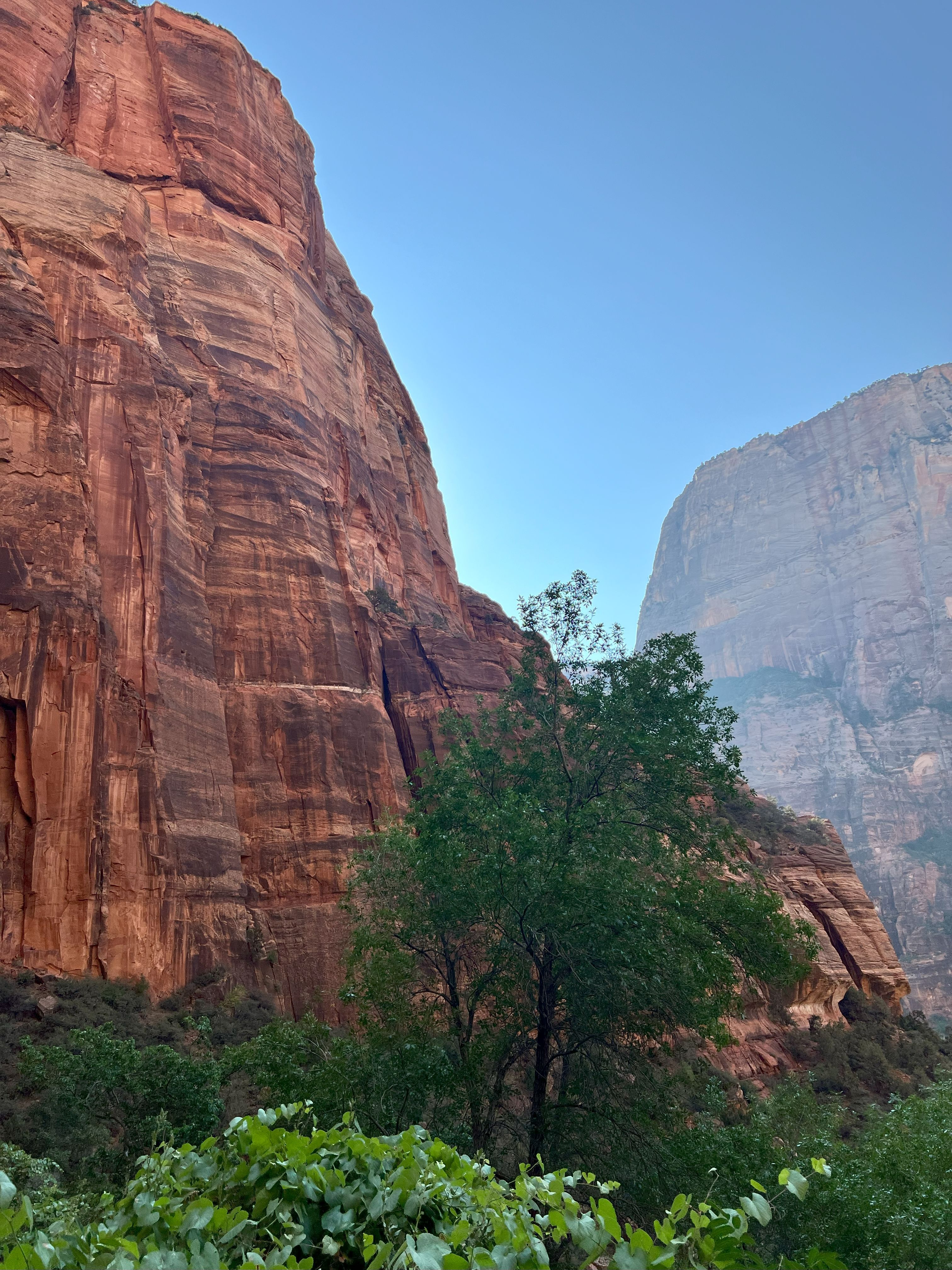 Angel's landing from below