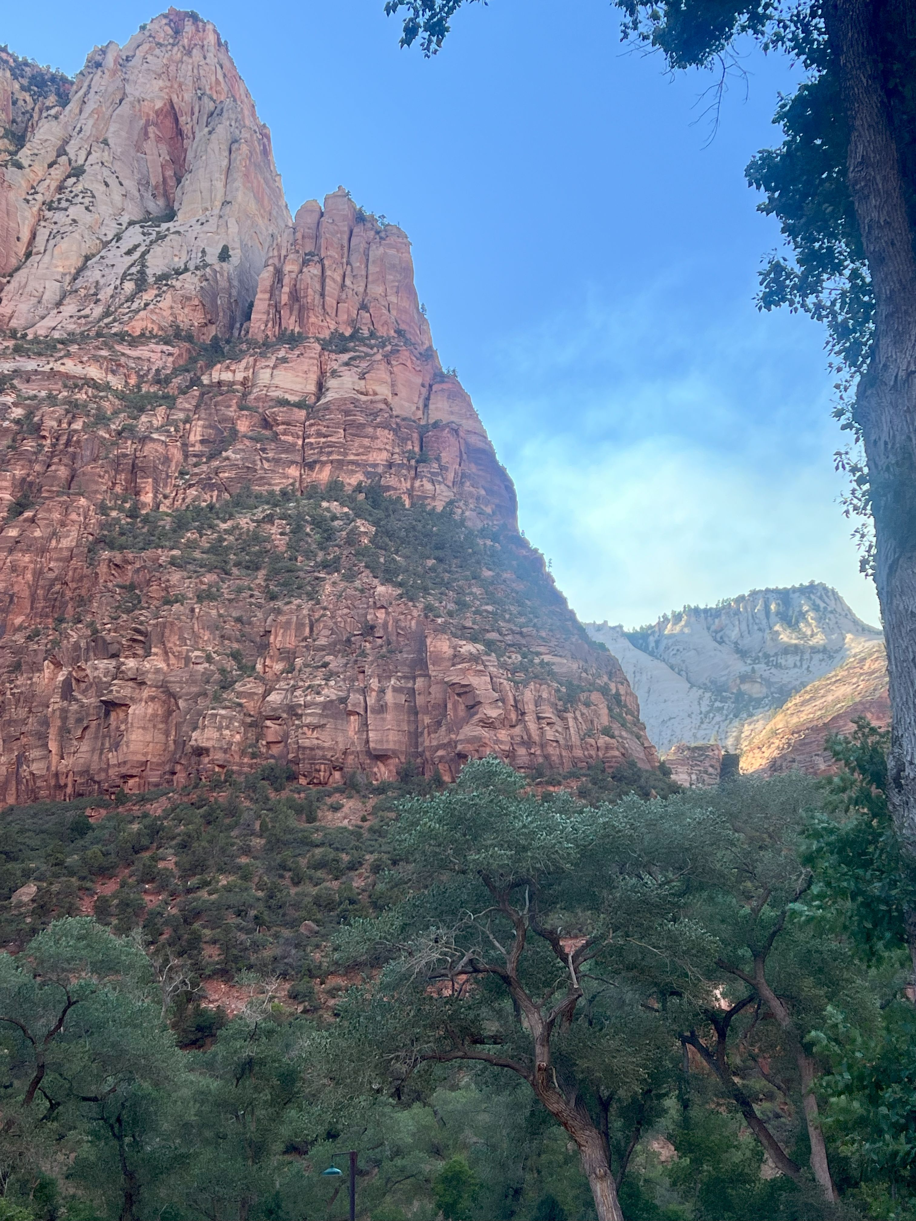 Soaring canyon walls