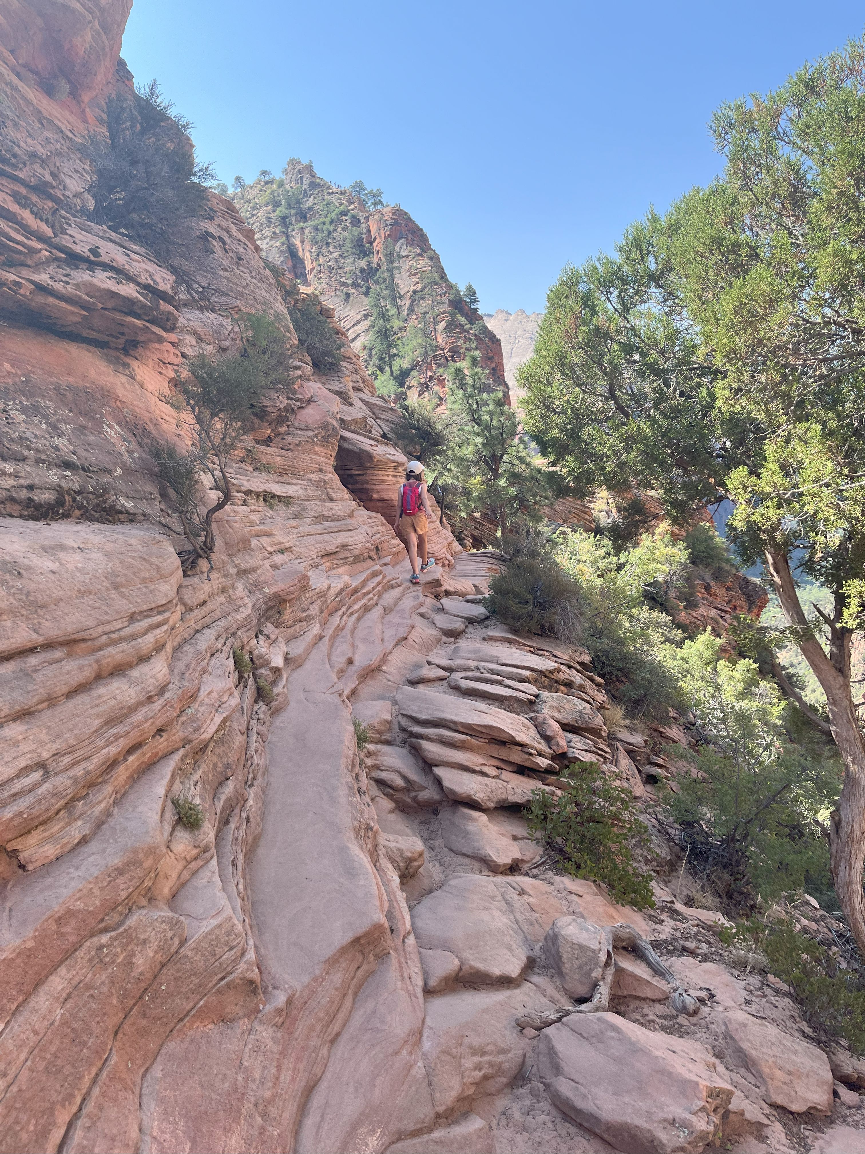 Harriet starting the spicy stuff