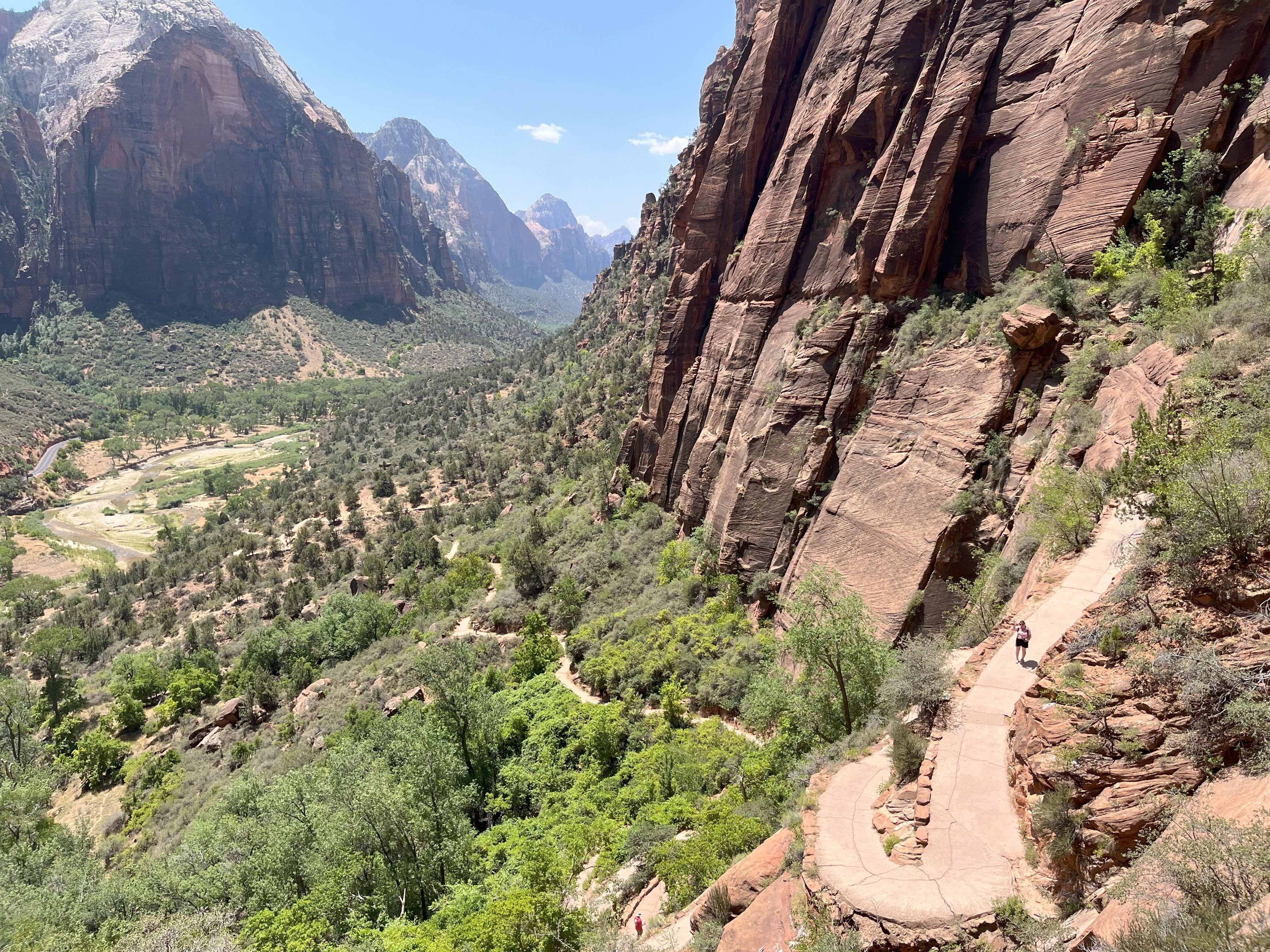 Walter's Wiggles from above