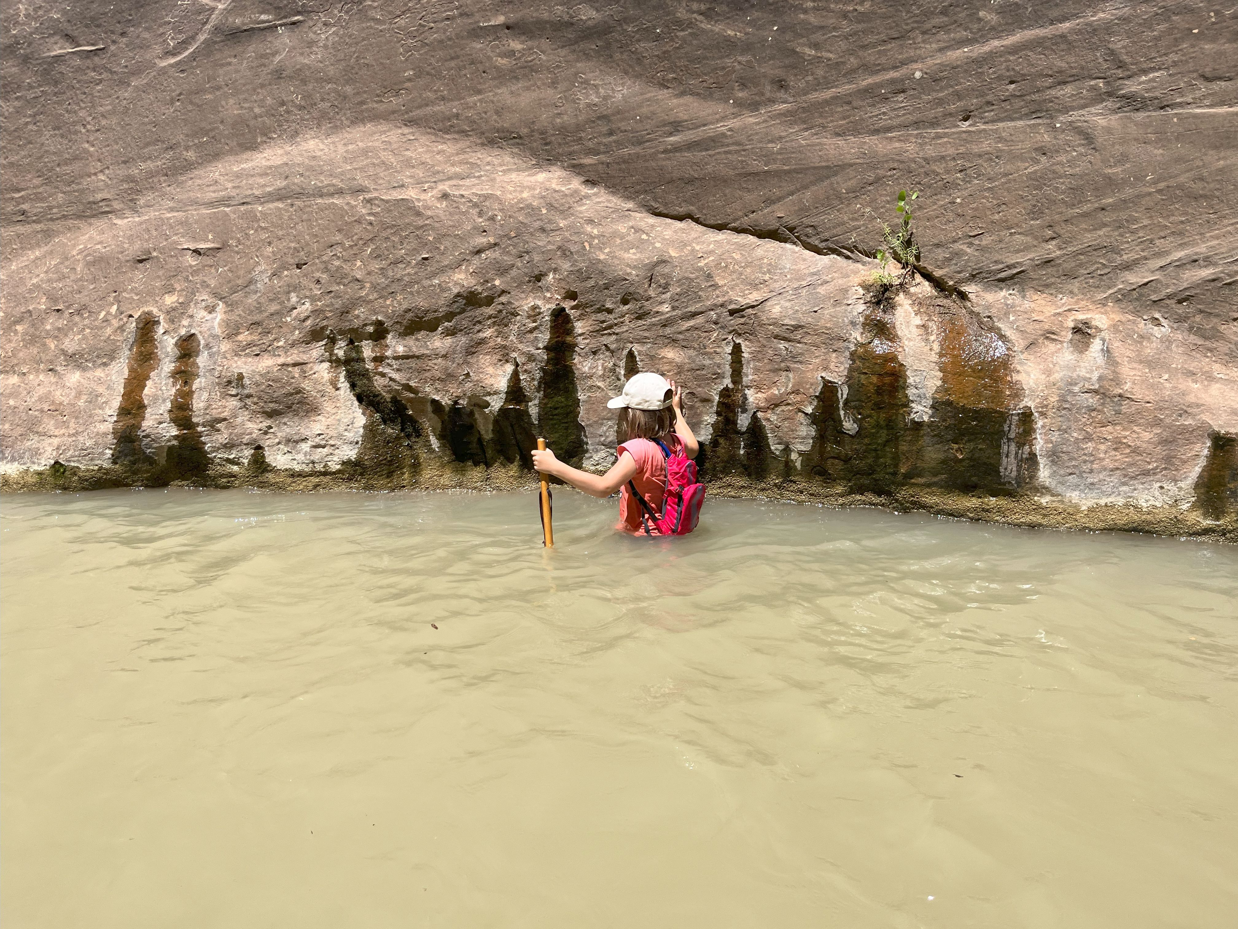 Harriet wading a deep spot