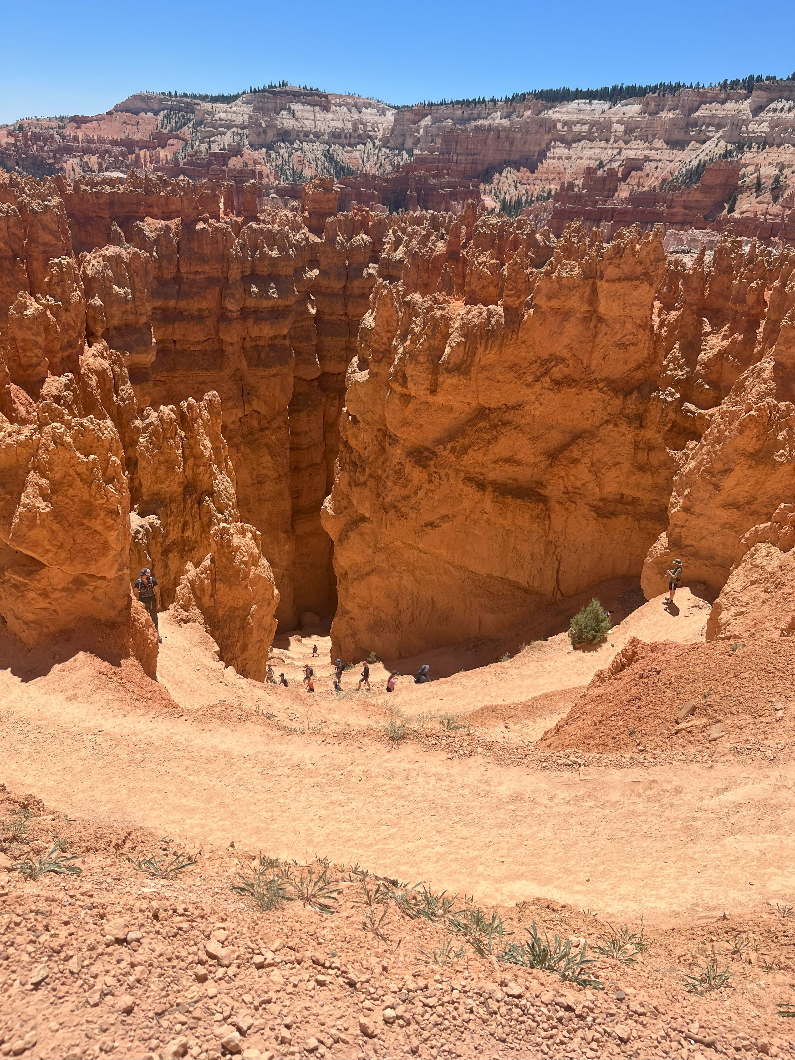 Climbing down into Wall Street