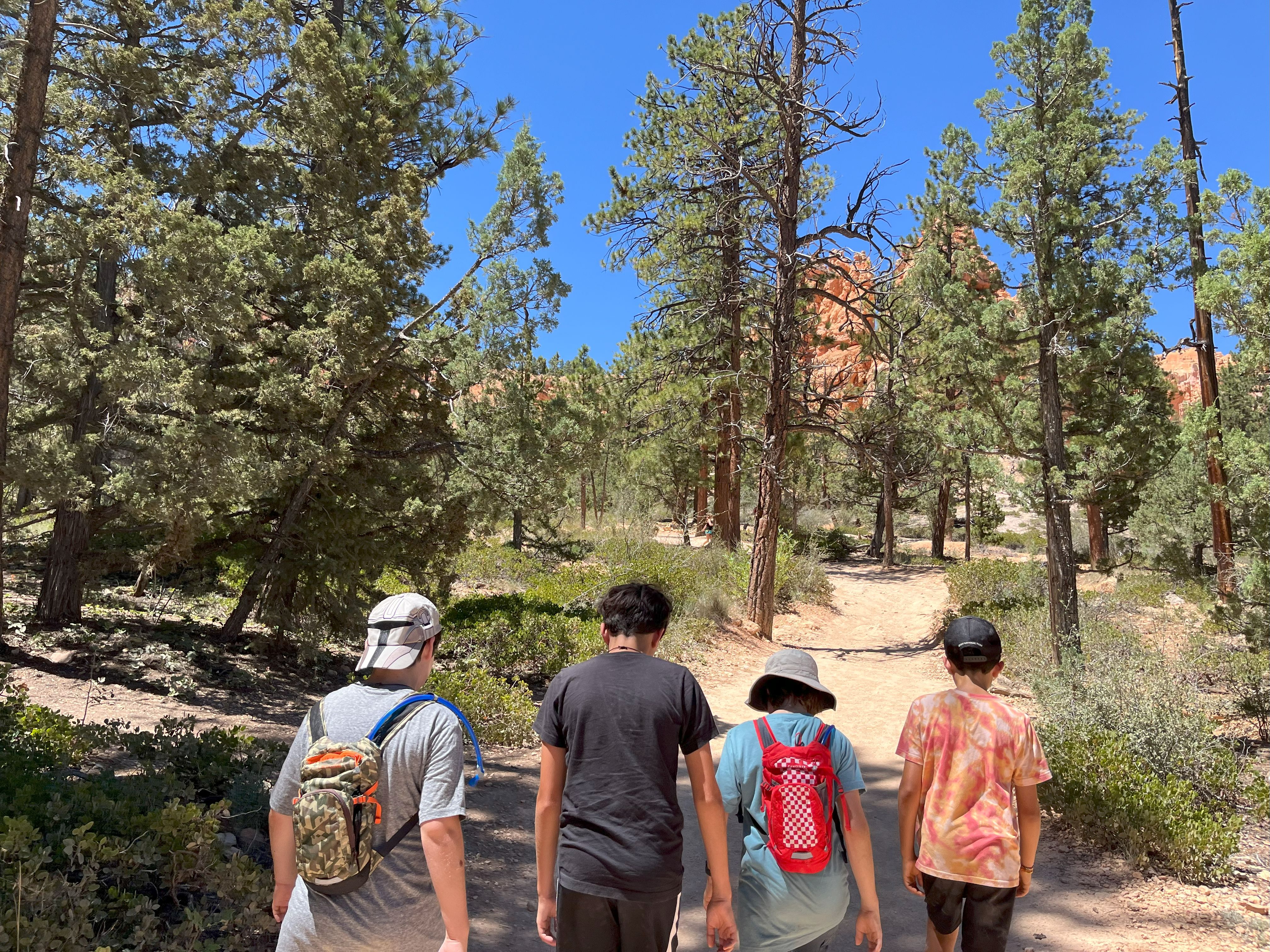 Kids climbing out of the canyon