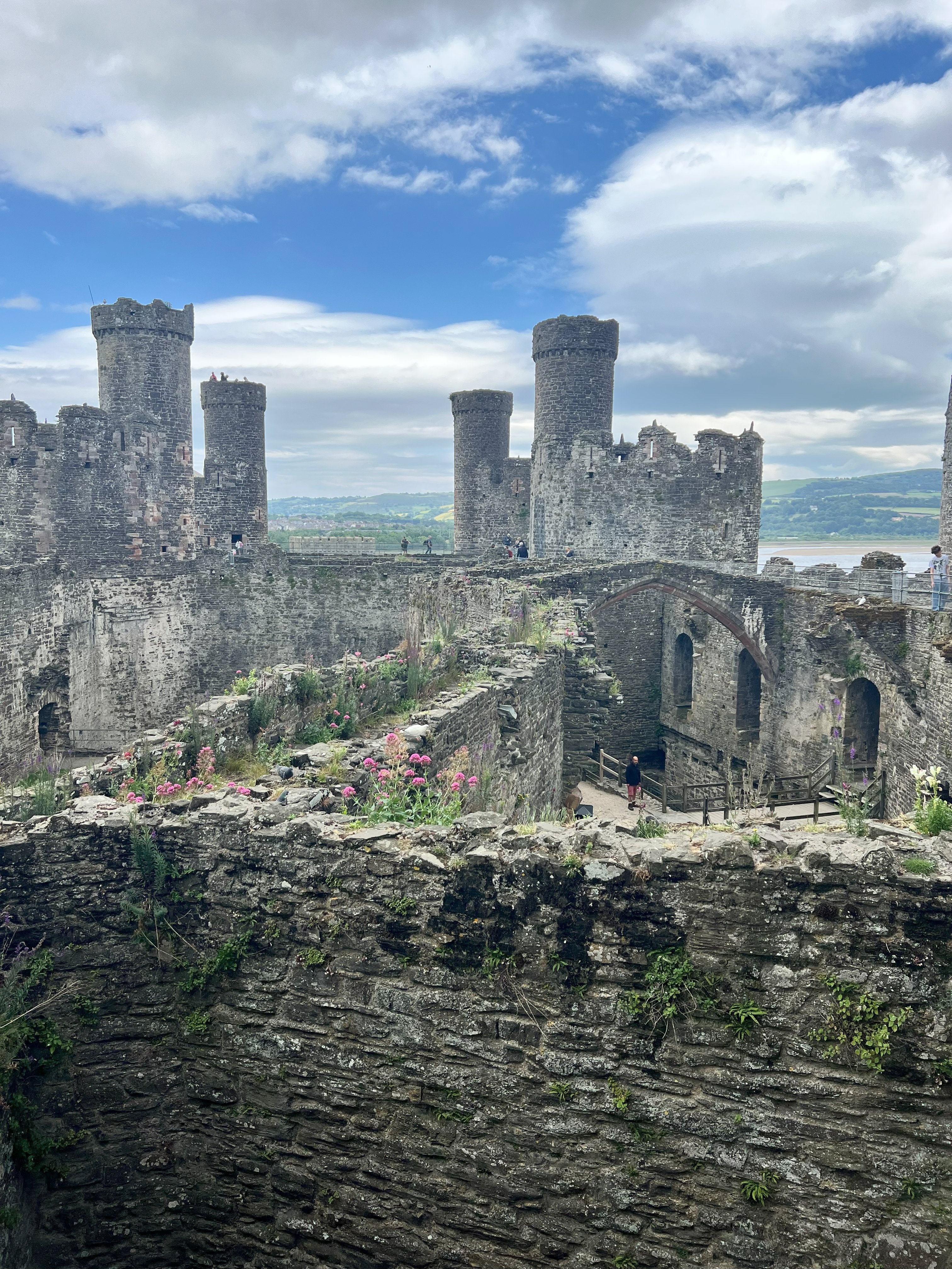 Looking East towards the river