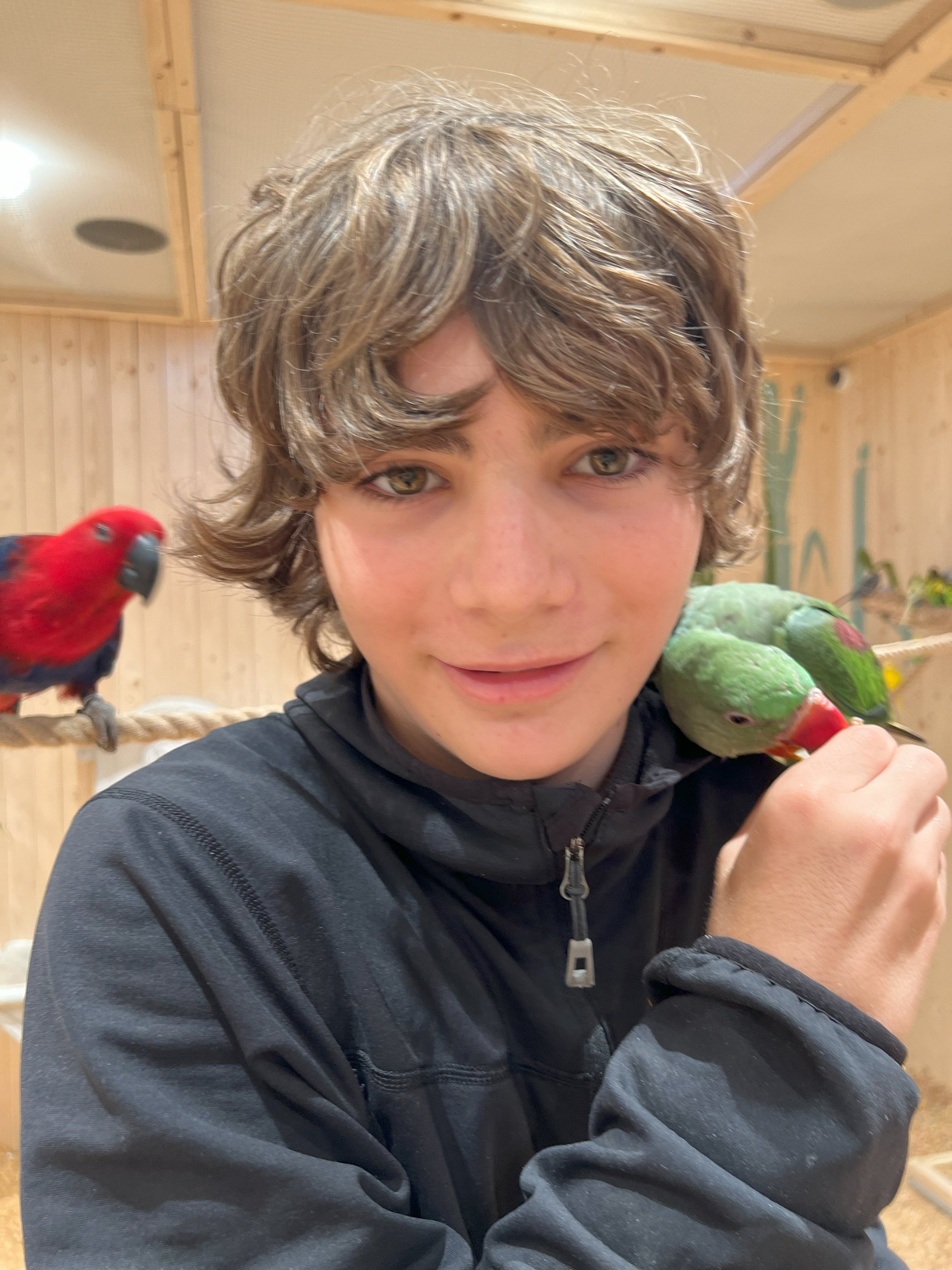 Charlie and parrots