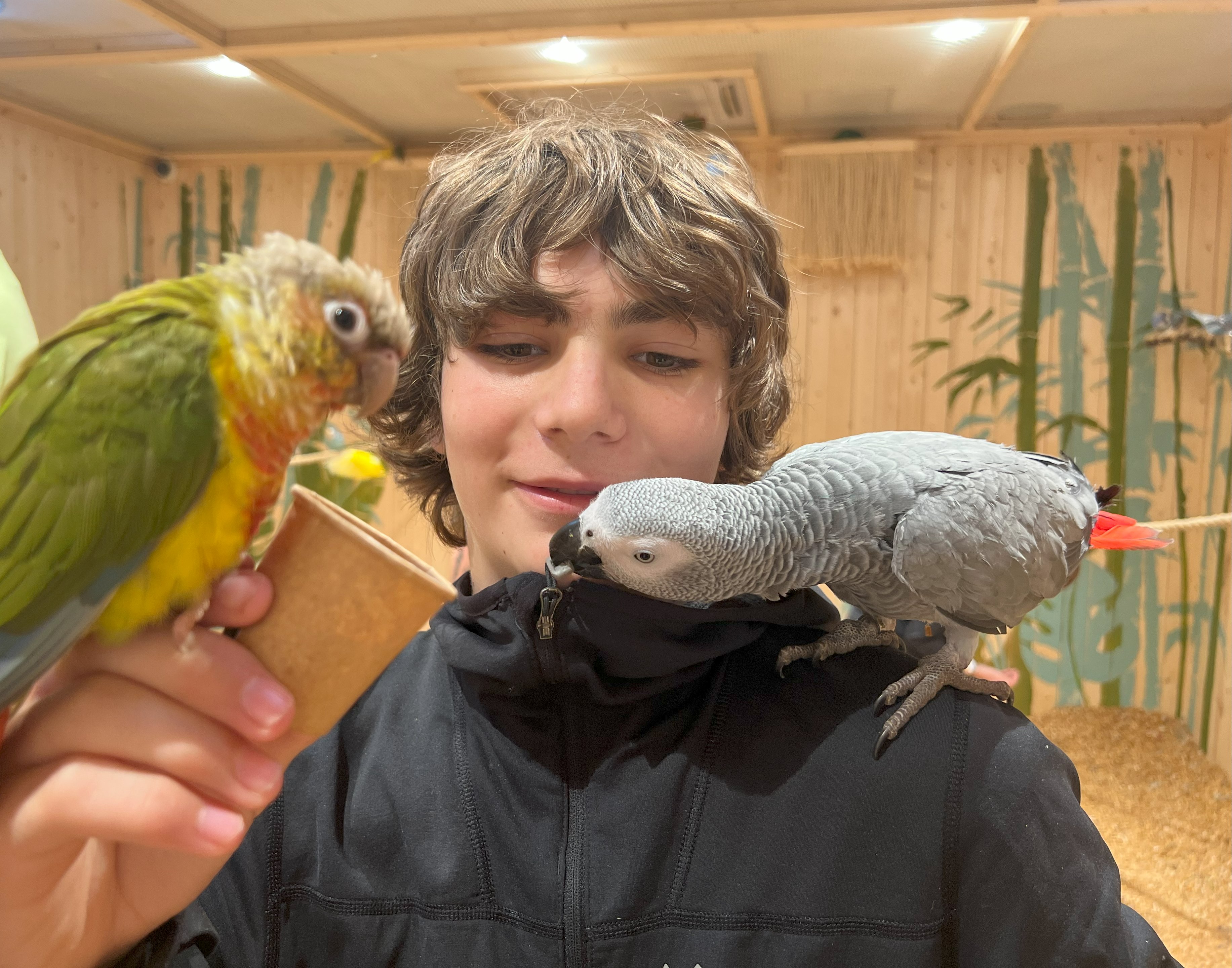 Charlie and parrots