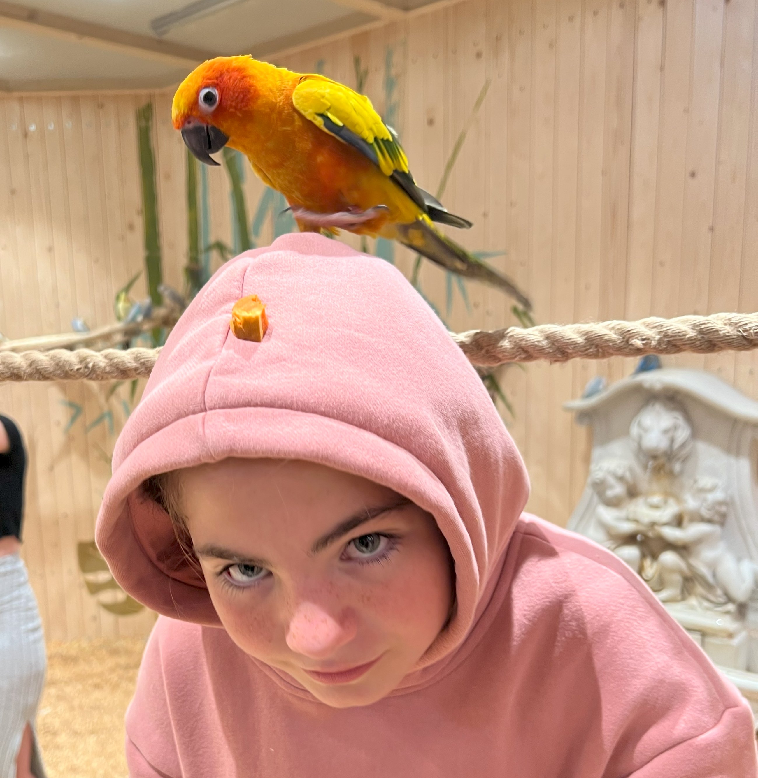 Harriet and parrot