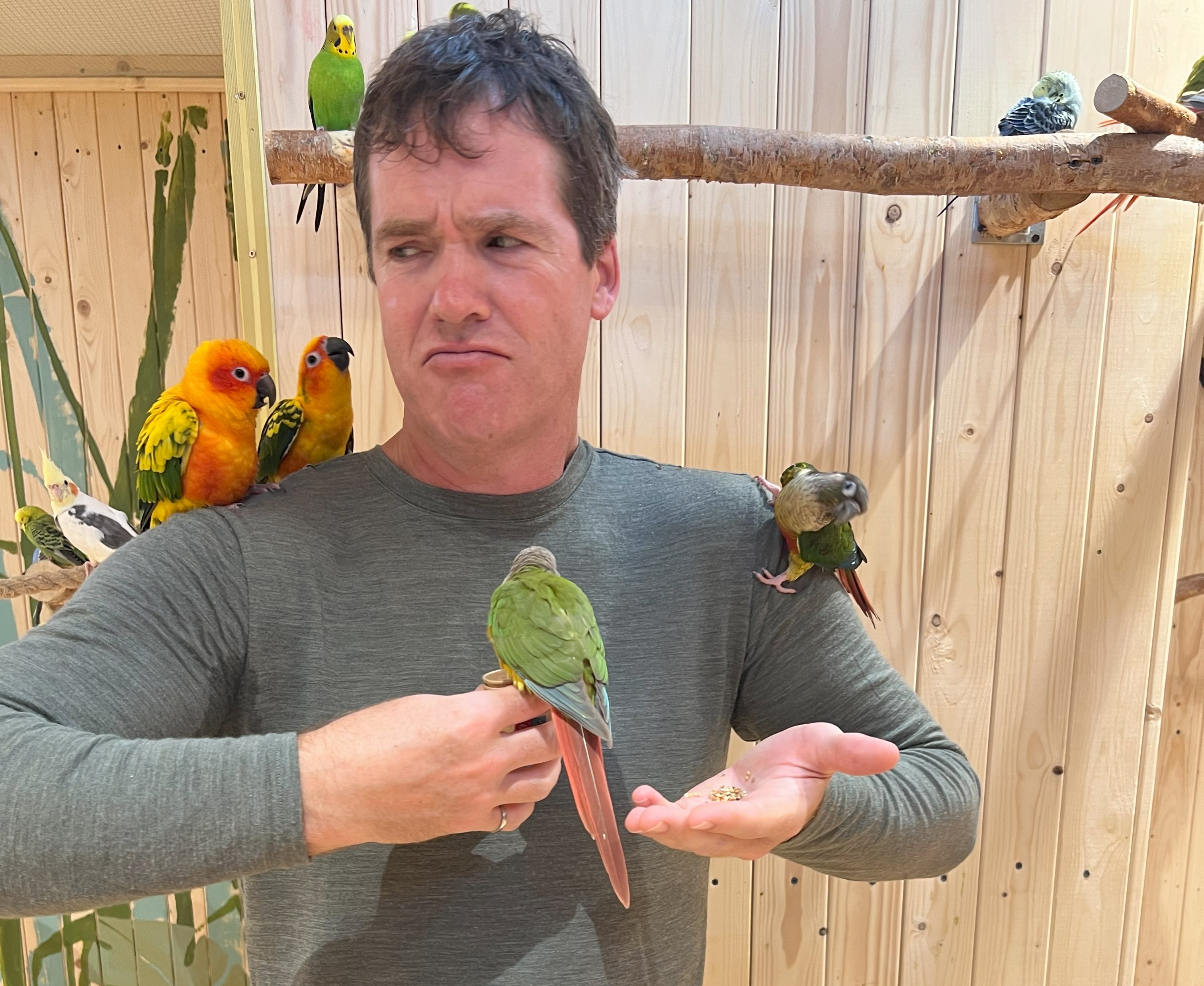 Me and parrots